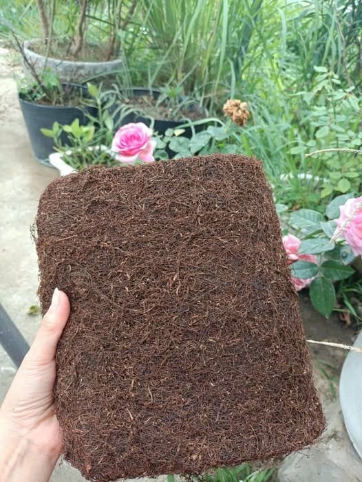 Thuốc Lào Nam Đế – Đặc Sản Tiên Lãng Hải Phòng