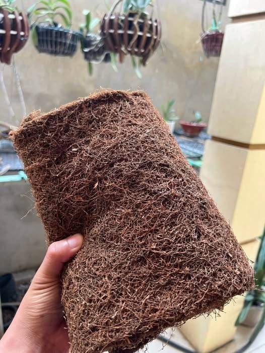 Thuốc Lào Long Đế - Tuyệt Phẩm Tinh Hoa Từ Tiên Lãng, Hải Phòng