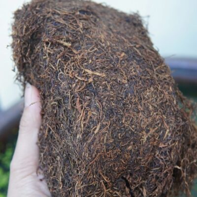 Thuốc Lào Viễn Dương – Đẳng Cấp Hương Vị, Trải Nghiệm Khác Biệt